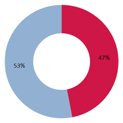 Substantiation Rate of Closed Allegations